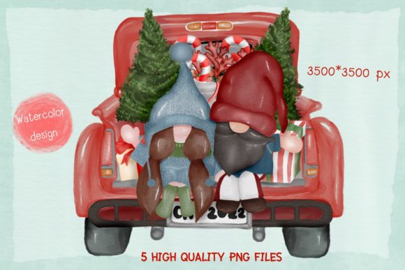 Christmas Vintage Truck and Couple Gnome Review