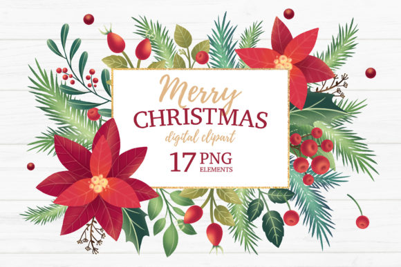 Christmas Winter Floral Clipart for Illustrations