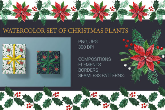 Watercolor Set of Christmas Plants Illustrations